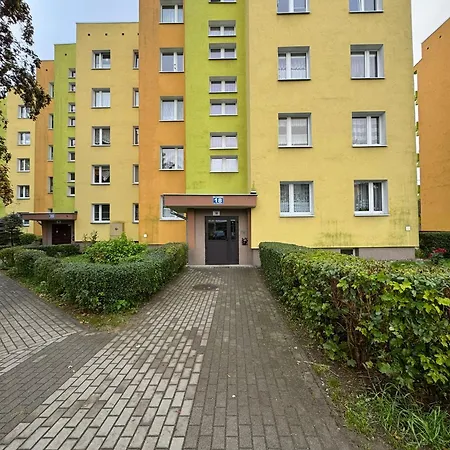 Palisadowa By Enklawa