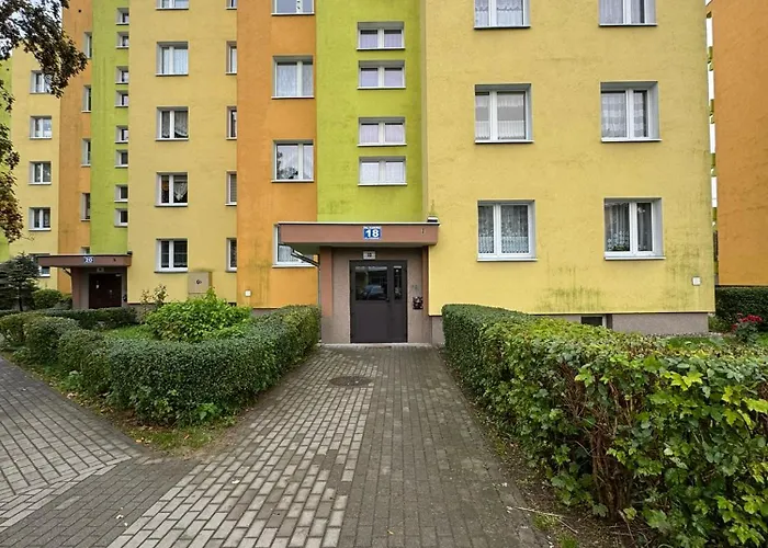 Palisadowa By Enklawa